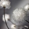 Pom Pom Floor Lamp 1 Pom Pom Floor Lamp -Adesso 4511 22 add