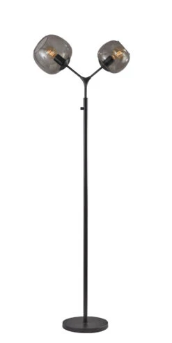Ashton 2-Light Floor Lamp In Matte Black
