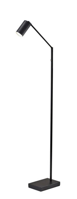 Colby LED Floor Lamp In Black Painted